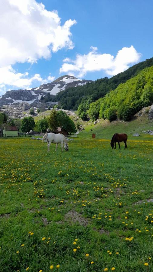 Katun Mokra Villa Podgorica Bagian luar foto