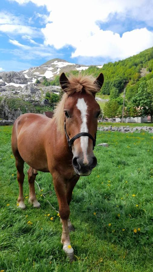 Katun Mokra Villa Podgorica Bagian luar foto