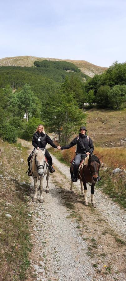 Katun Mokra Villa Podgorica Bagian luar foto
